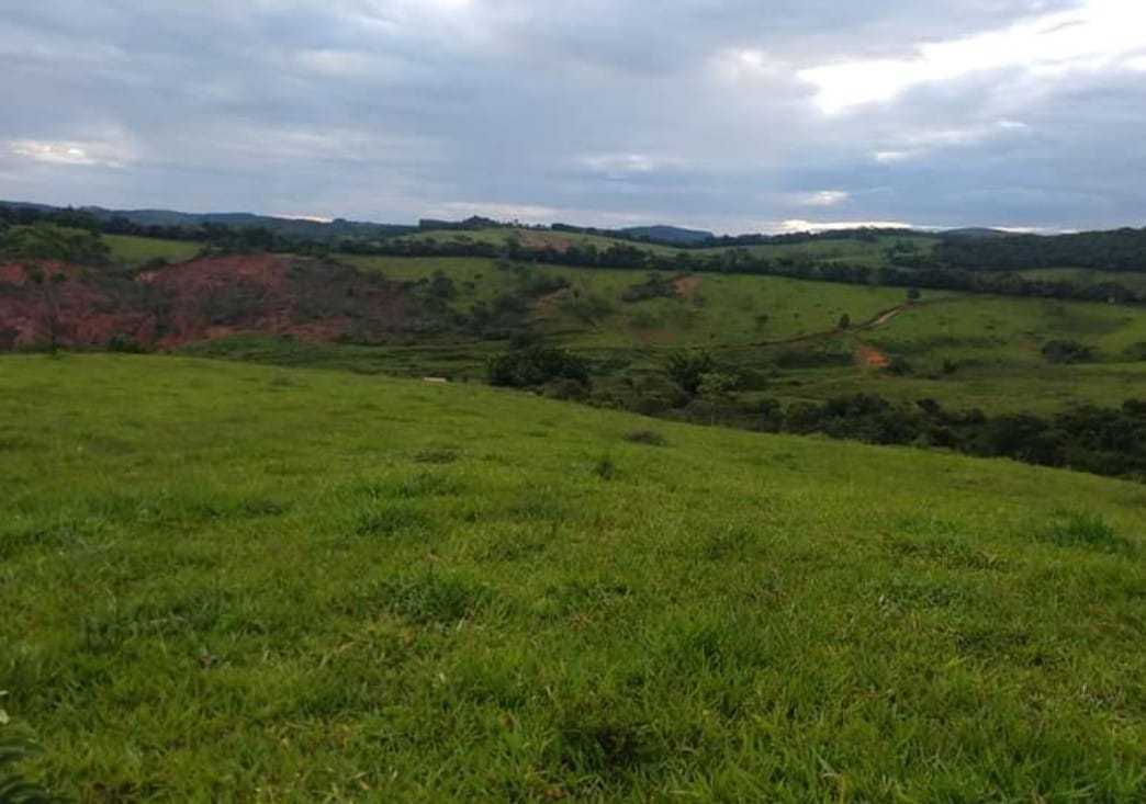Fazenda, 251 hectares - Foto 4