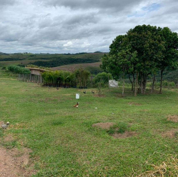 Fazenda, 119 hectares - Foto 15