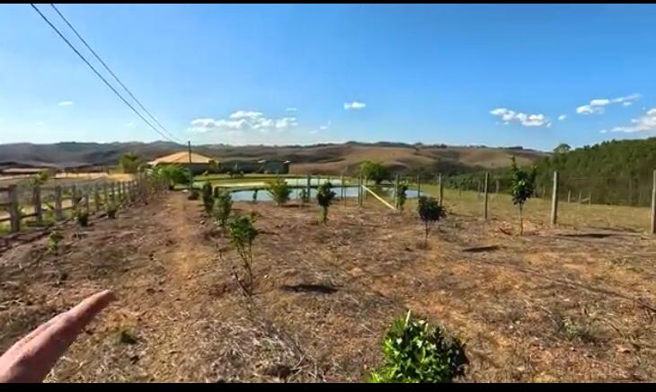 Fazenda, 119 hectares - Foto 7