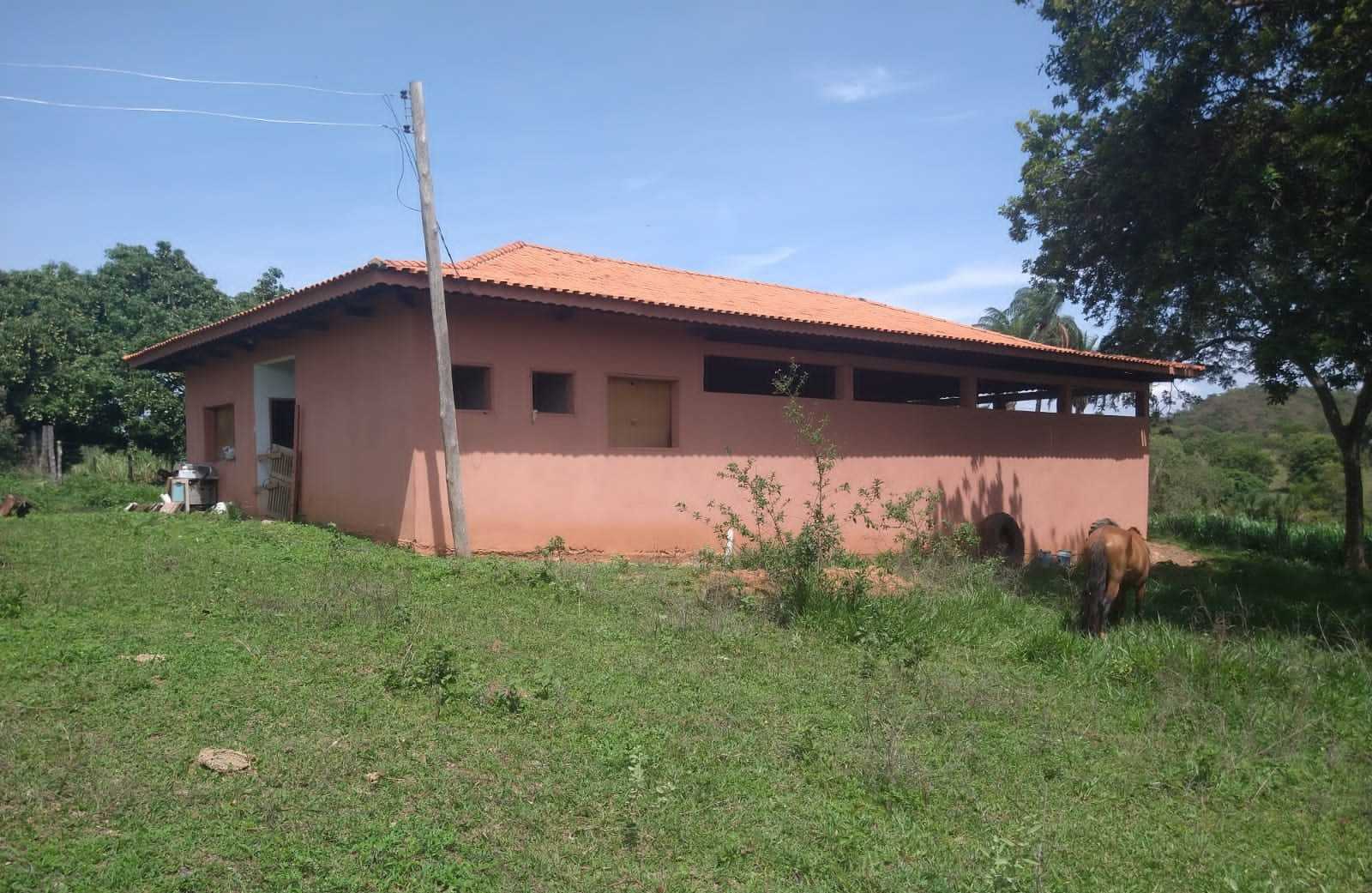 Fazenda, 987 hectares - Foto 4