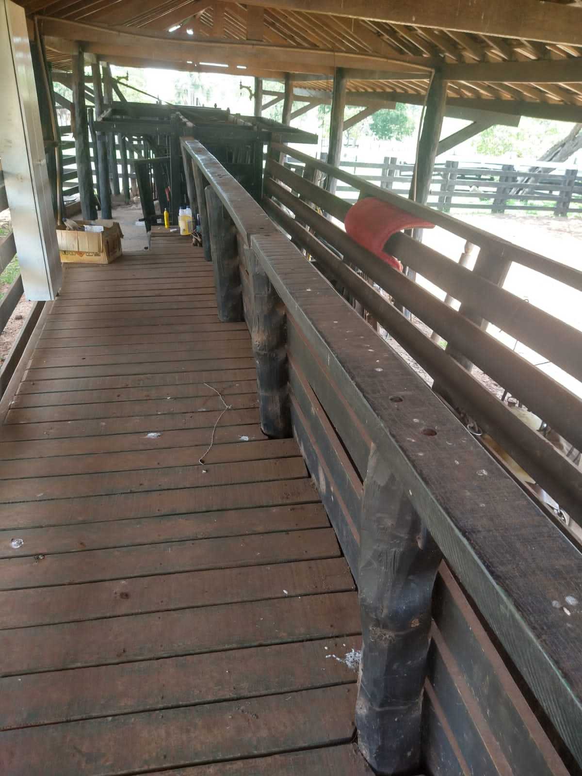 Fazenda, 987 hectares - Foto 11