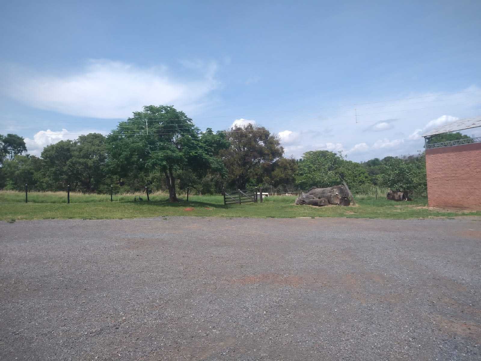 Fazenda, 987 hectares - Foto 6