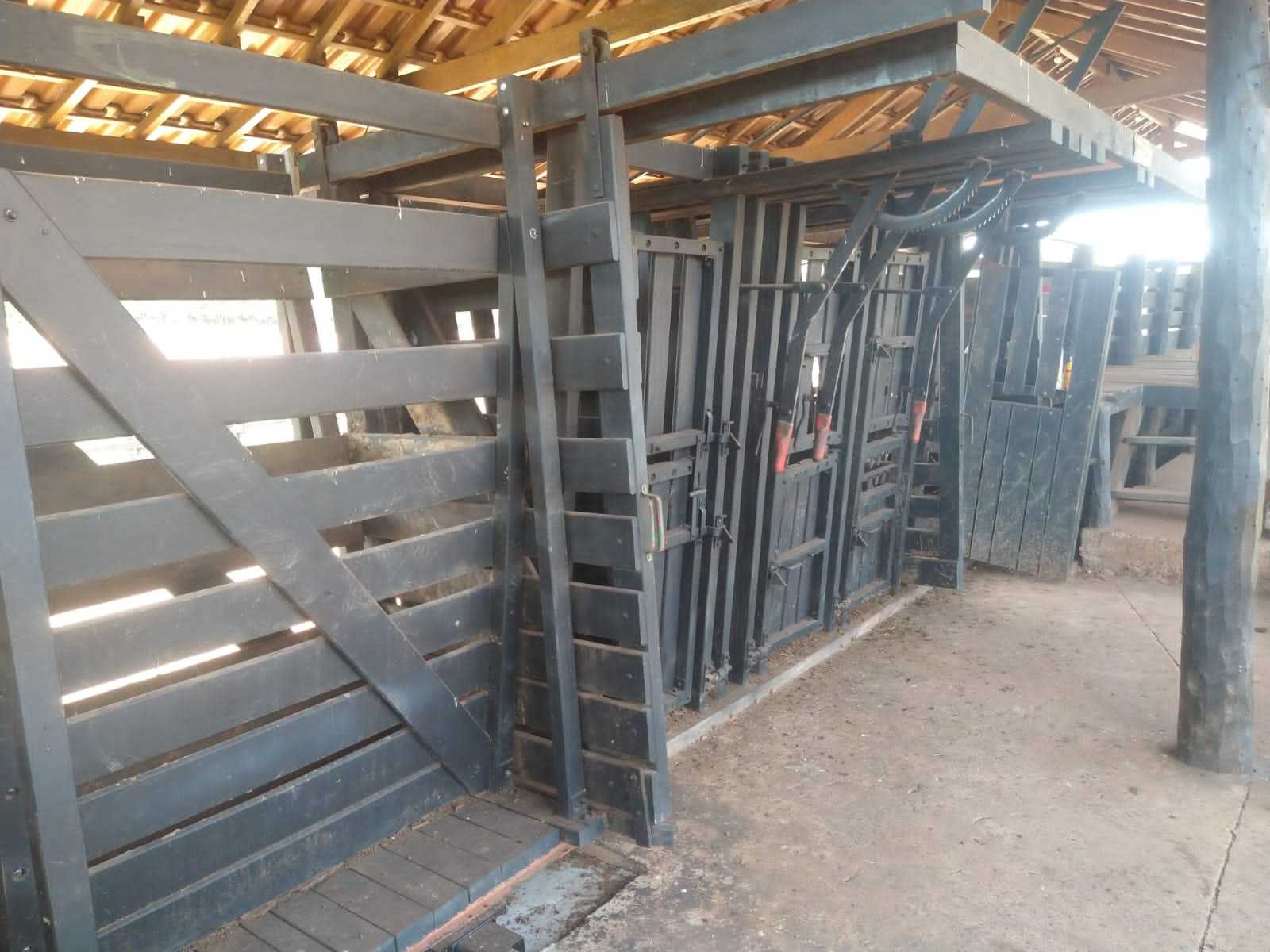 Fazenda, 987 hectares - Foto 10