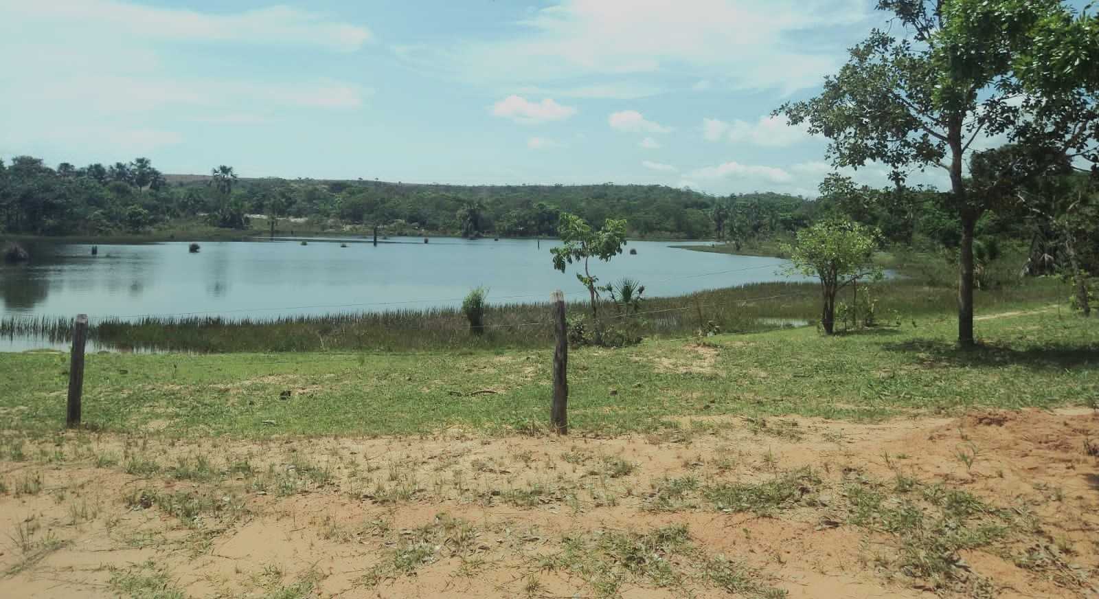 Fazenda, 987 hectares - Foto 13