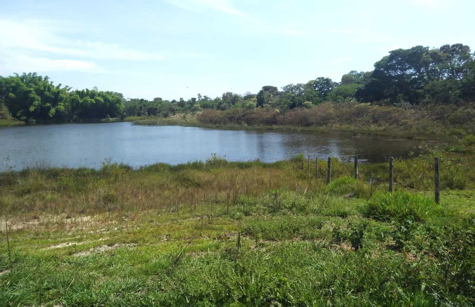 Fazenda, 987 hectares - Foto 14