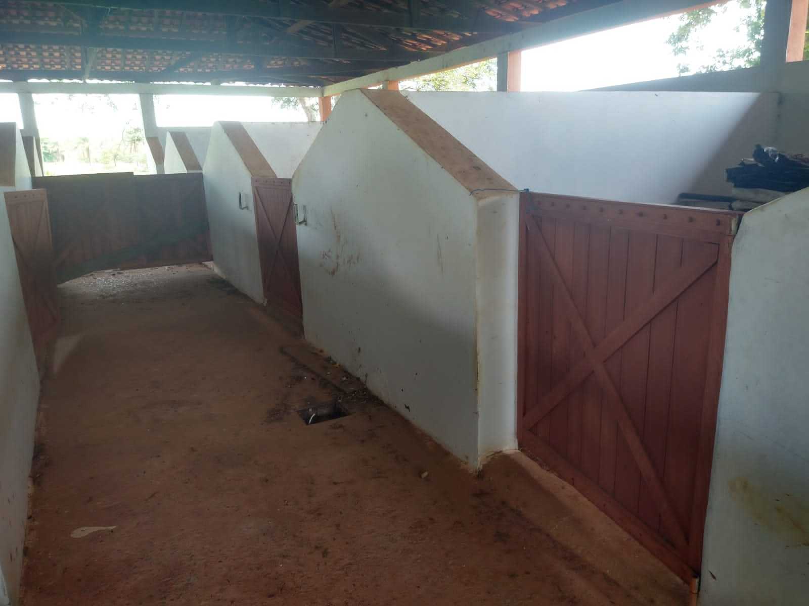 Fazenda, 987 hectares - Foto 9