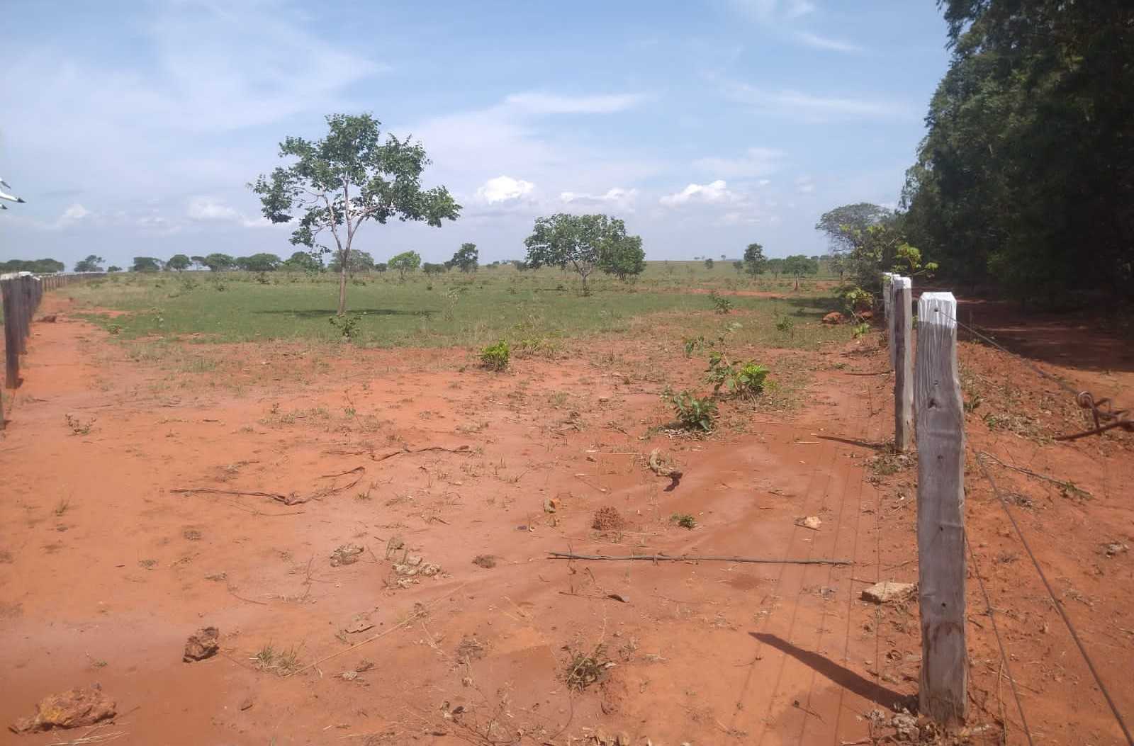 Fazenda, 987 hectares - Foto 20