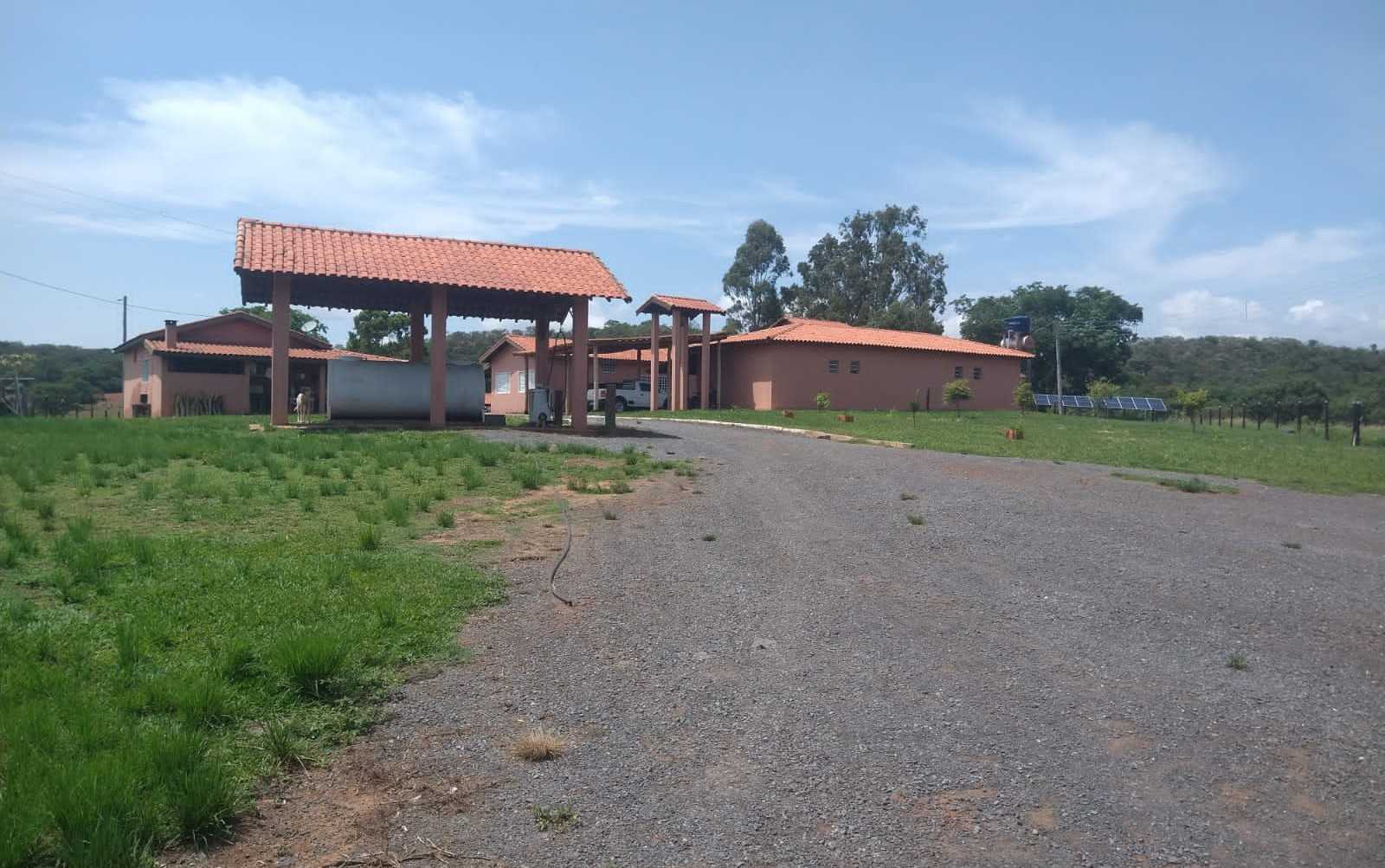 Fazenda, 987 hectares - Foto 8