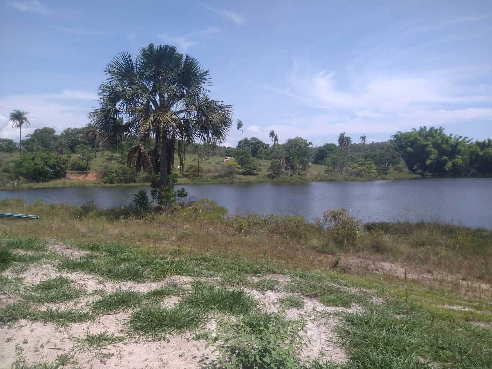 Fazenda, 987 hectares - Foto 16