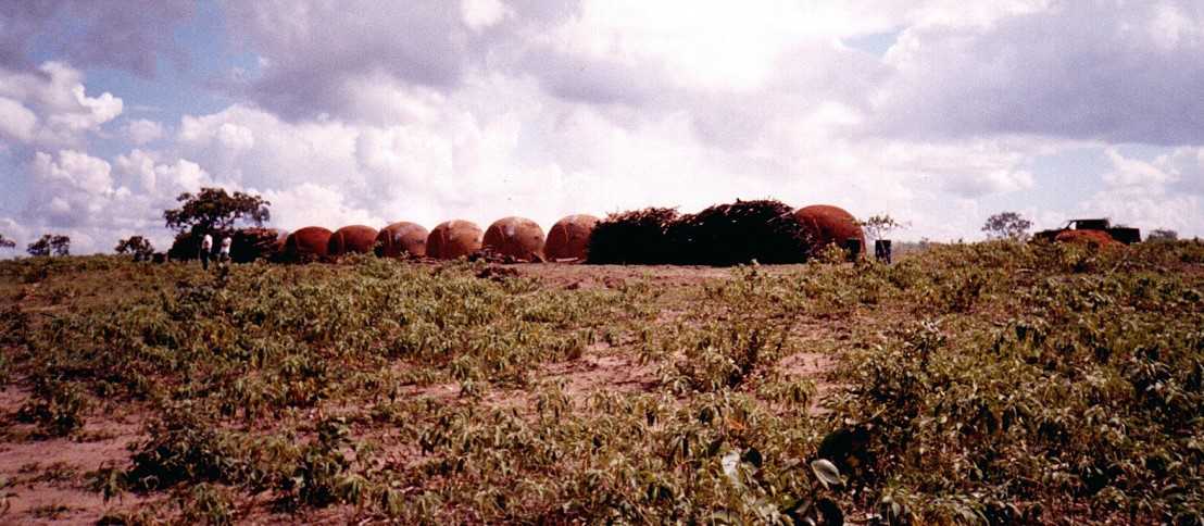 Fazenda, 1548 hectares - Foto 8