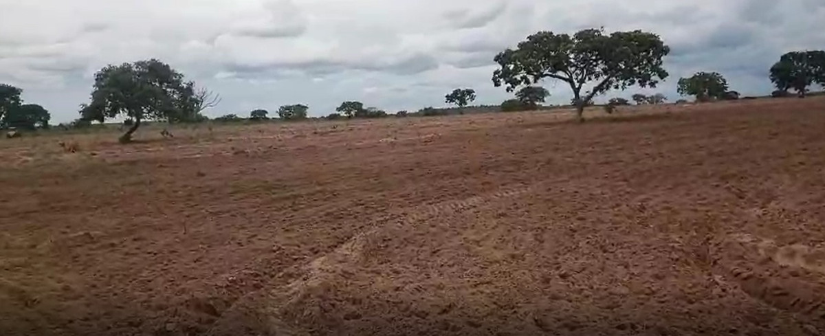 Chácara, 1 quarto, 1548 hectares - Foto 6