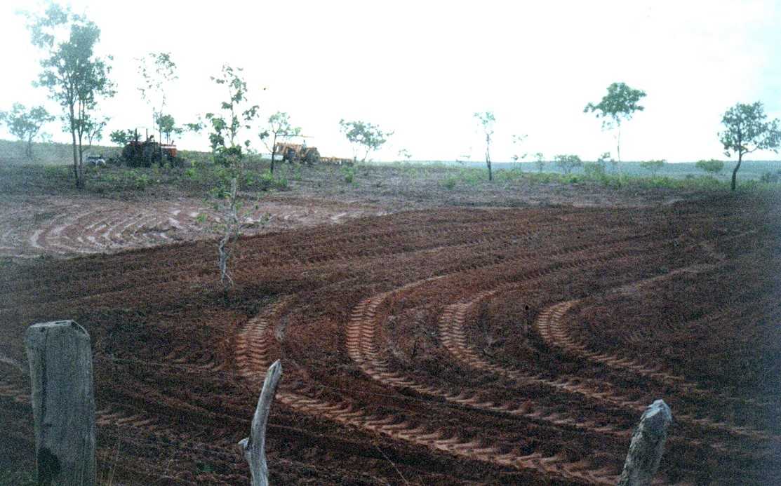 Fazenda, 1548 hectares - Foto 2