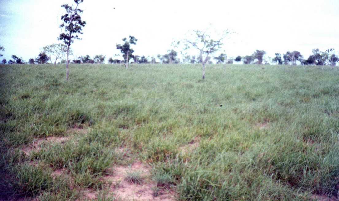 Fazenda, 1548 hectares - Foto 19
