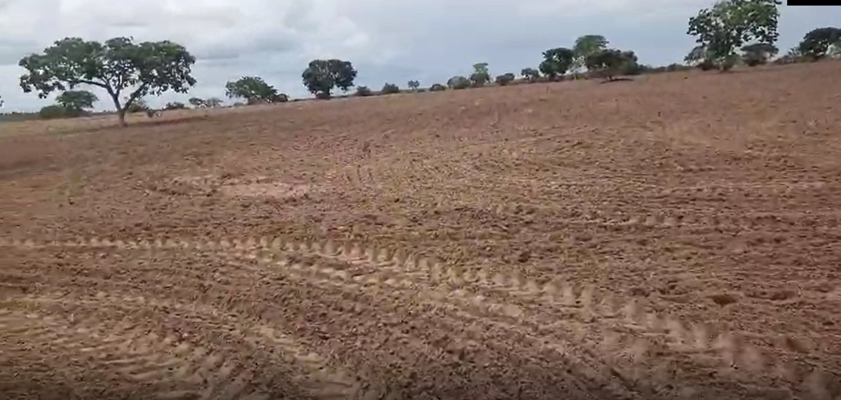 Chácara, 1 quarto, 1548 hectares - Foto 1