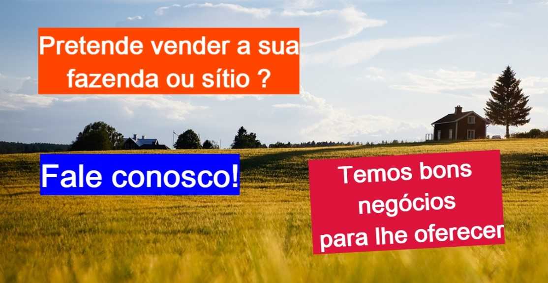 Fazenda, 308 hectares - Foto 22