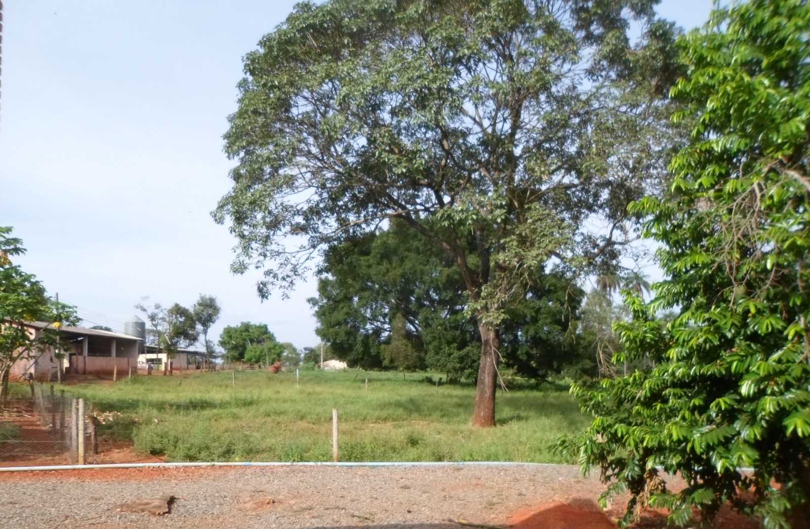 Fazenda, 308 hectares - Foto 14