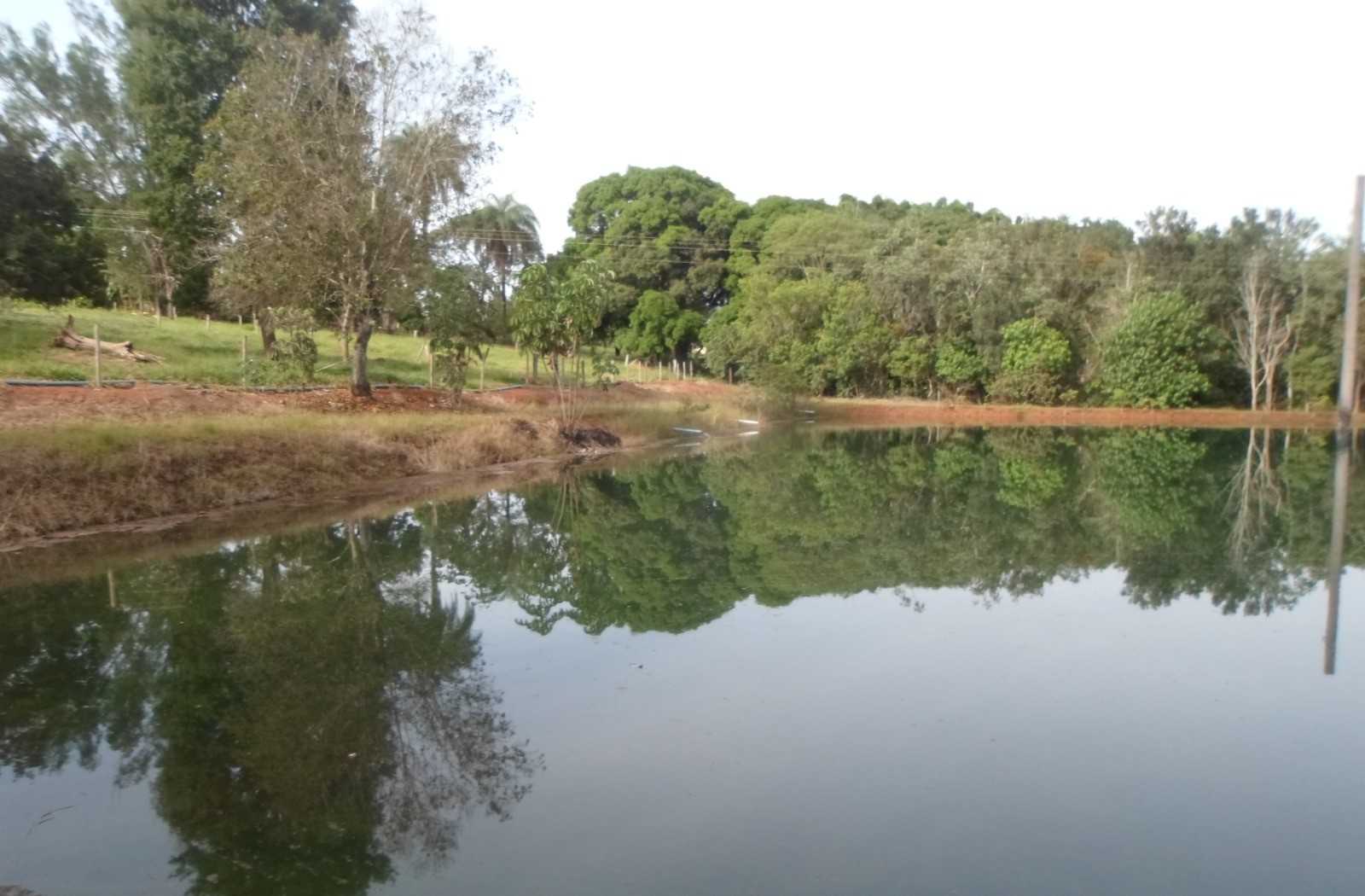 Fazenda, 308 hectares - Foto 11