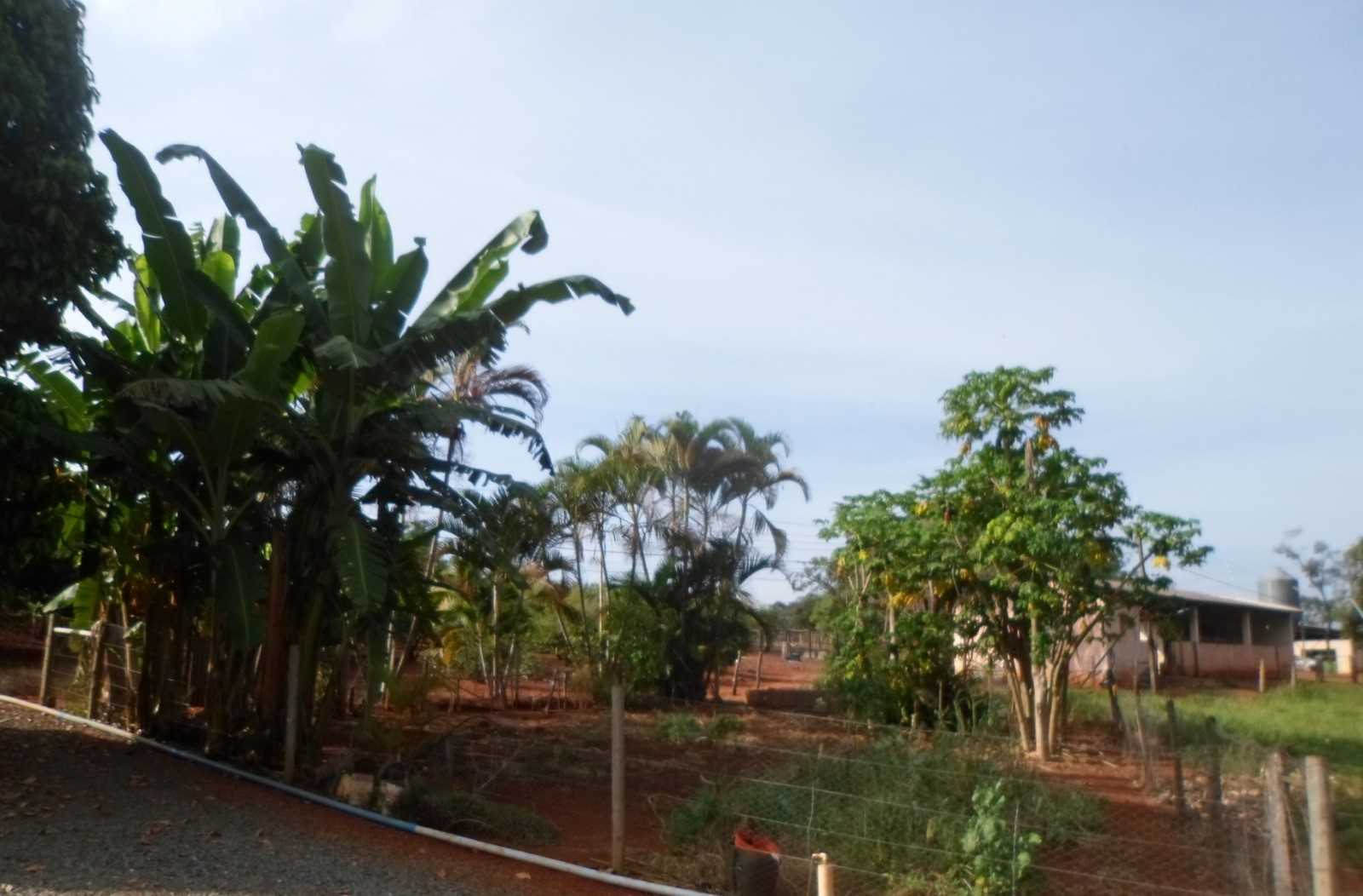 Fazenda, 308 hectares - Foto 15