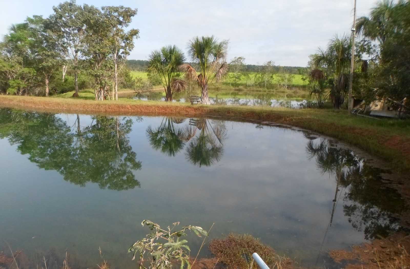 Fazenda, 308 hectares - Foto 12