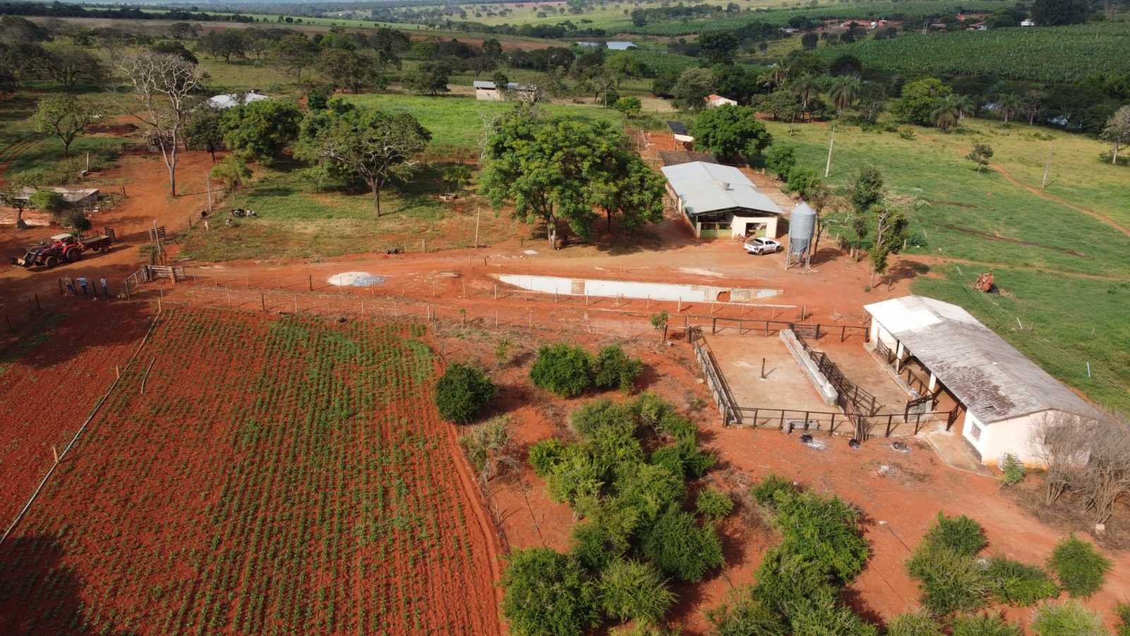 Fazenda, 308 hectares - Foto 6