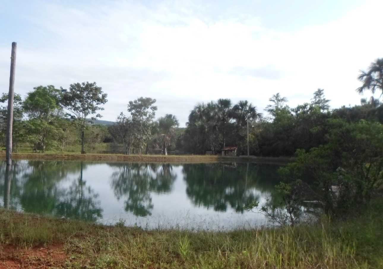 Fazenda, 308 hectares - Foto 10