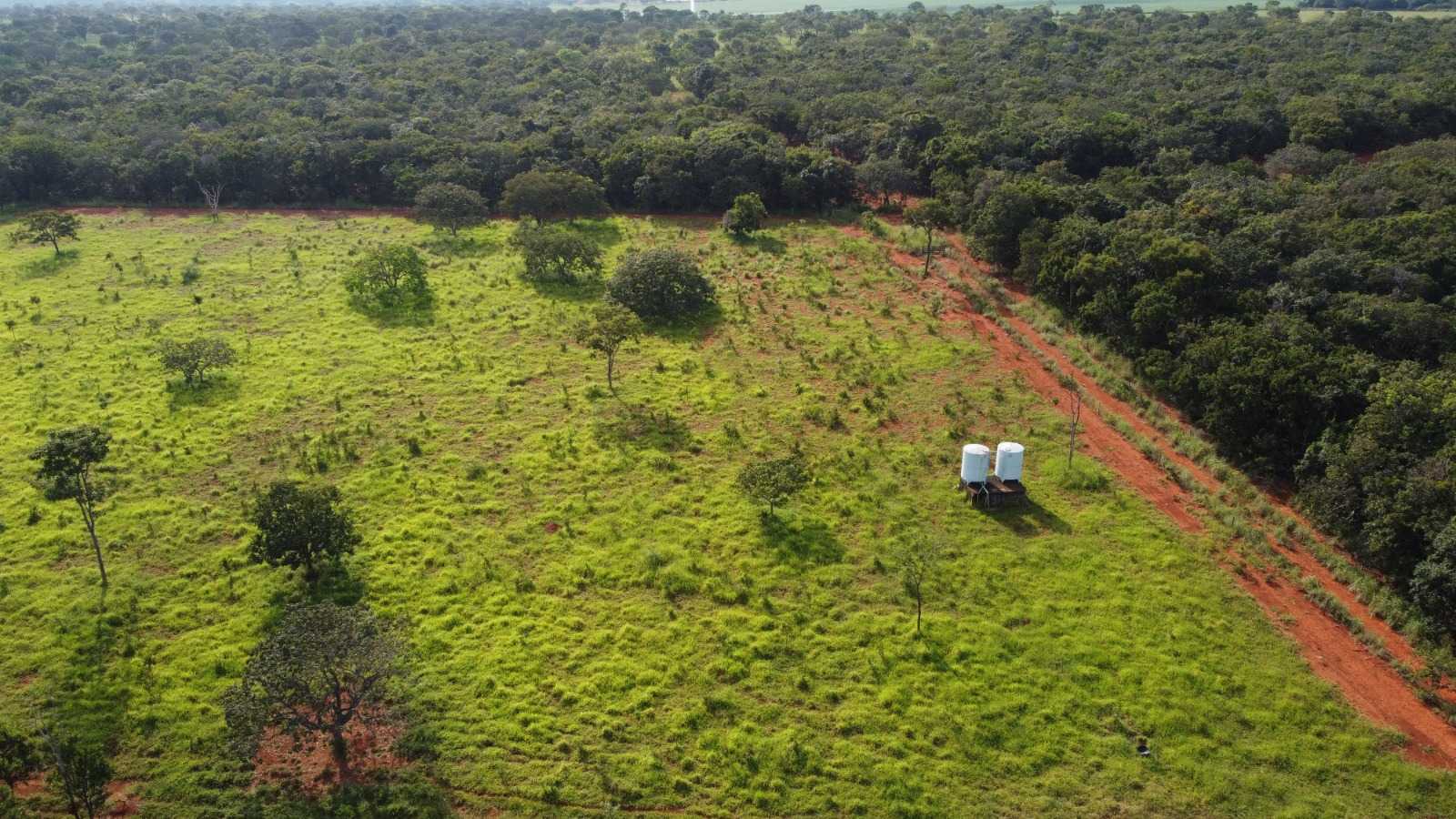 Fazenda, 308 hectares - Foto 7