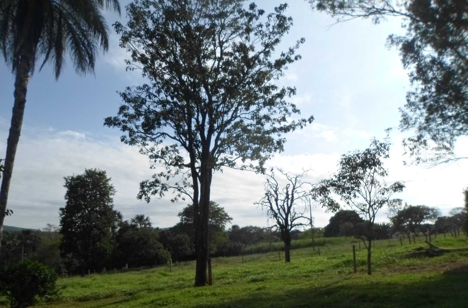 Fazenda, 308 hectares - Foto 9