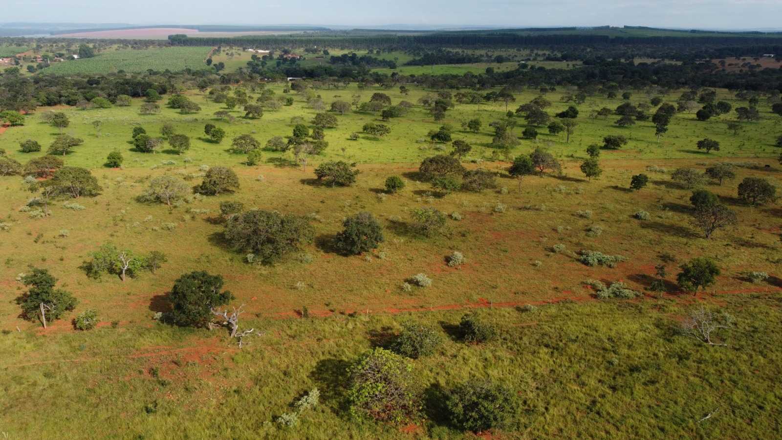 Fazenda, 308 hectares - Foto 4