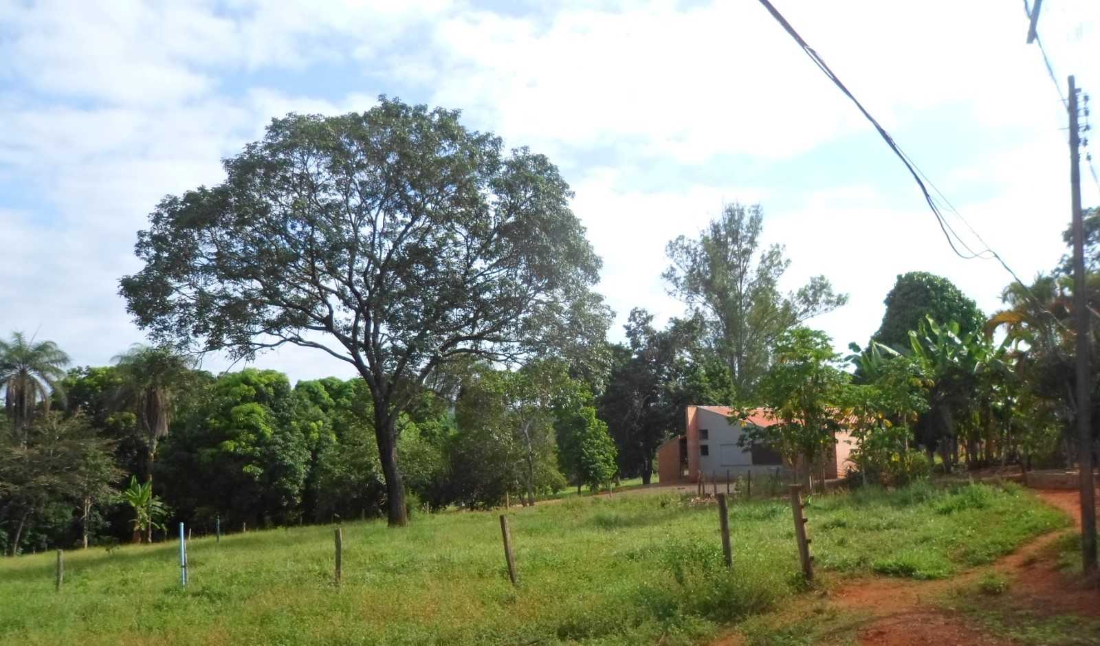 Fazenda, 308 hectares - Foto 2