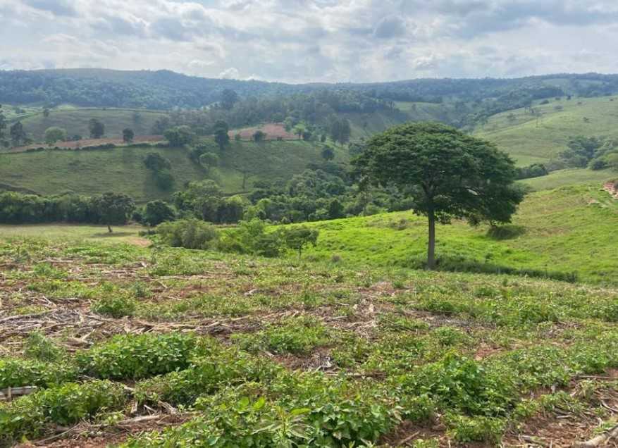 Fazenda, 301 hectares - Foto 19