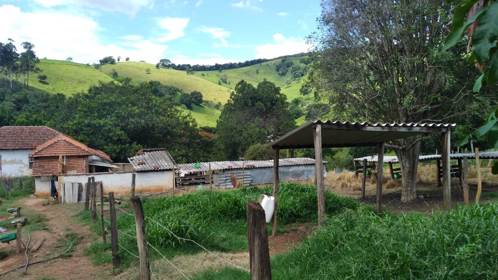 Fazenda, 301 hectares - Foto 10