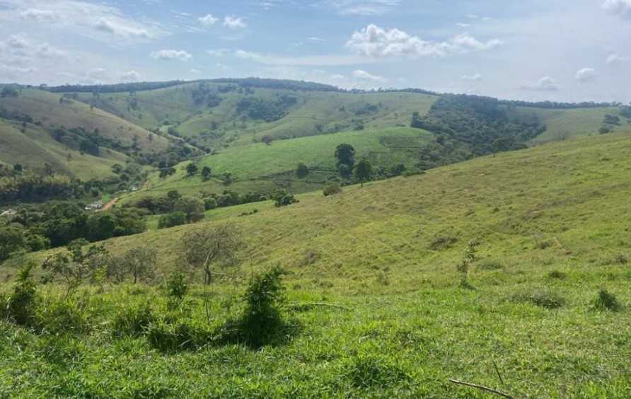 Fazenda, 301 hectares - Foto 22