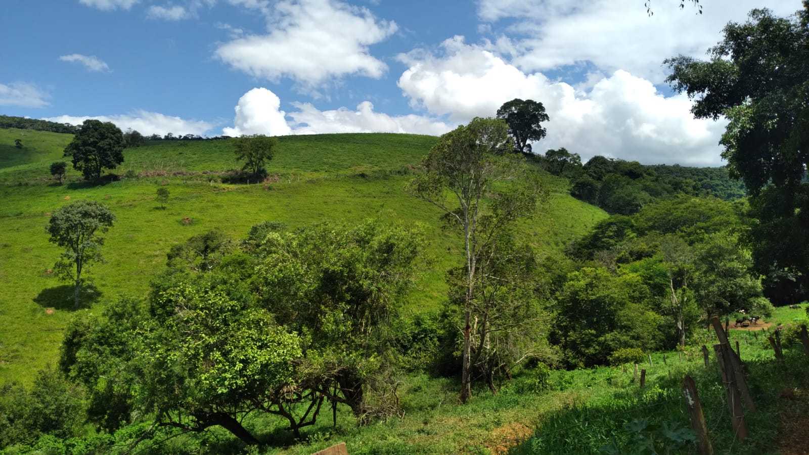 Fazenda, 301 hectares - Foto 24