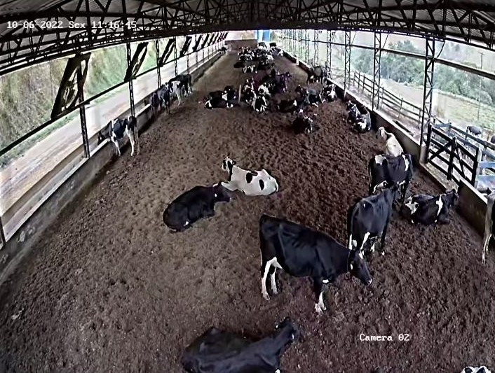 Fazenda, 301 hectares - Foto 1