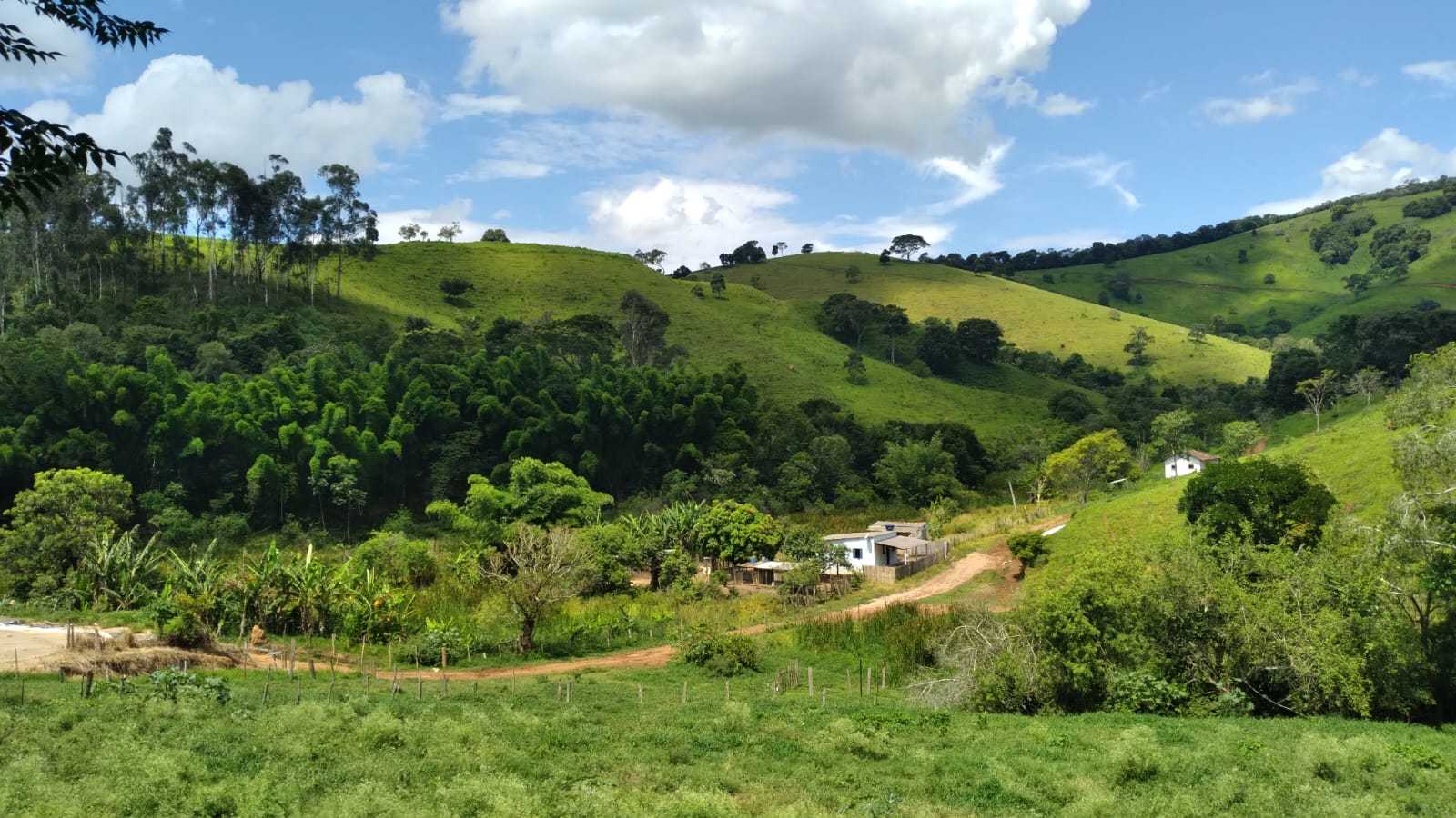 Fazenda, 301 hectares - Foto 23