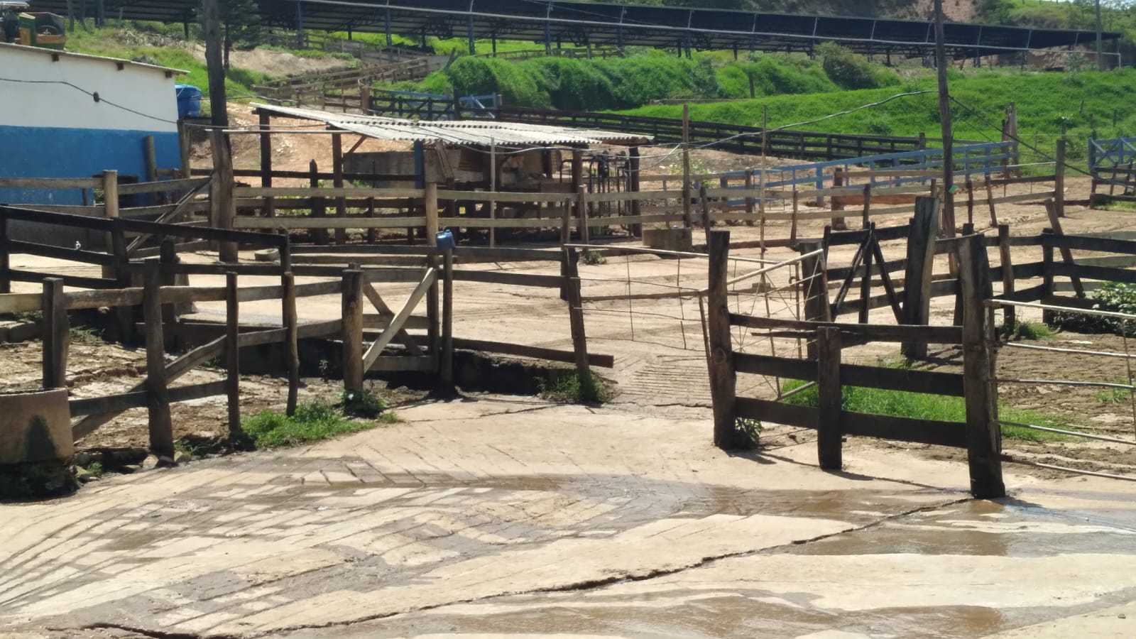 Fazenda, 301 hectares - Foto 9