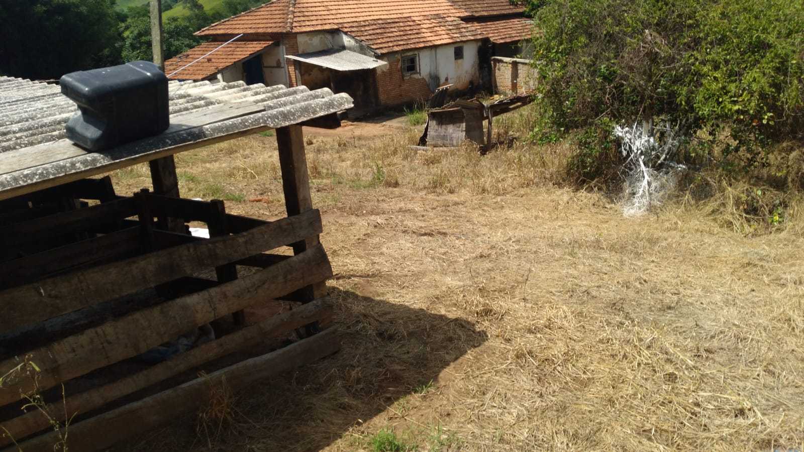 Fazenda, 301 hectares - Foto 12