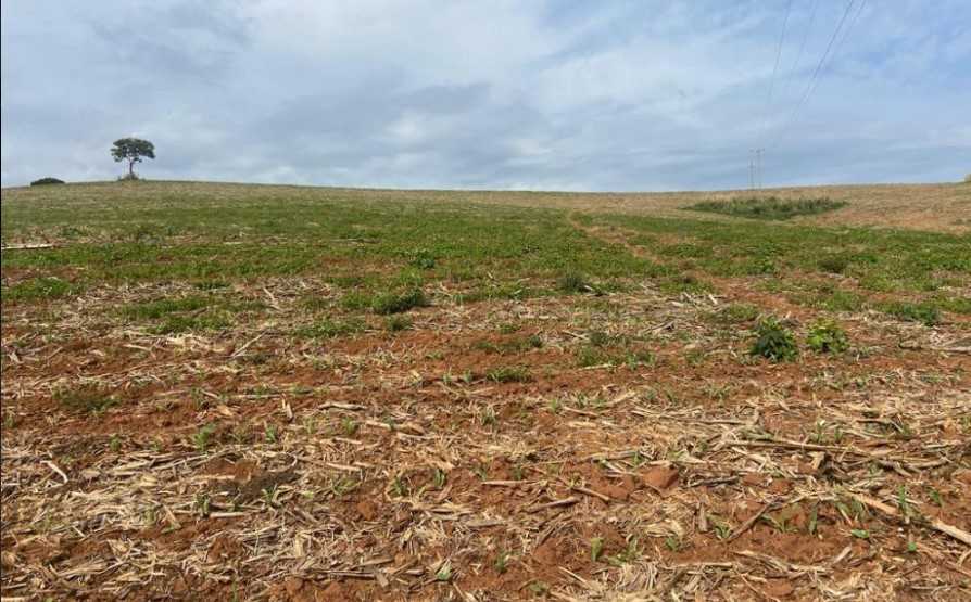 Fazenda, 301 hectares - Foto 25