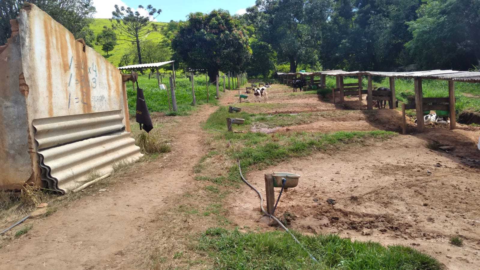 Fazenda, 301 hectares - Foto 14