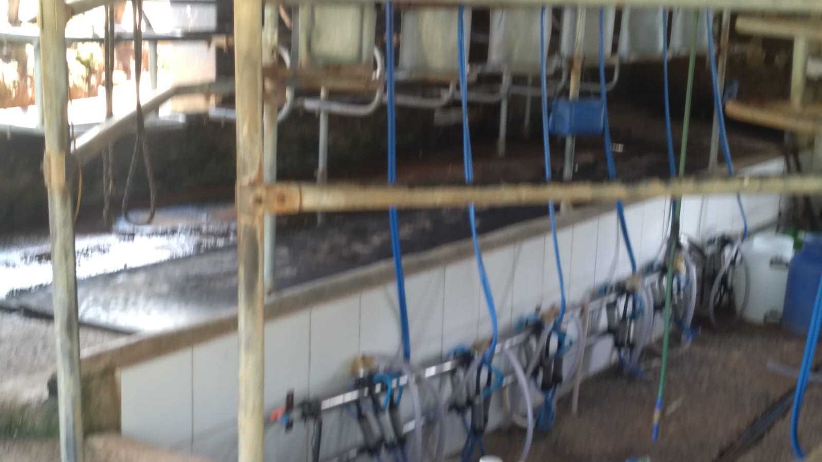 Fazenda, 301 hectares - Foto 15