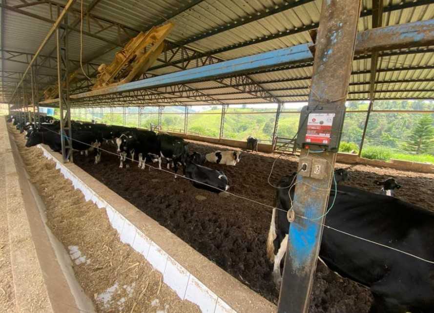 Fazenda, 301 hectares - Foto 3