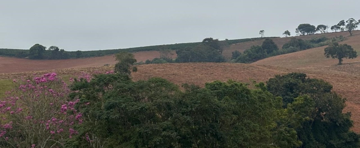 Fazenda, 113 hectares - Foto 23