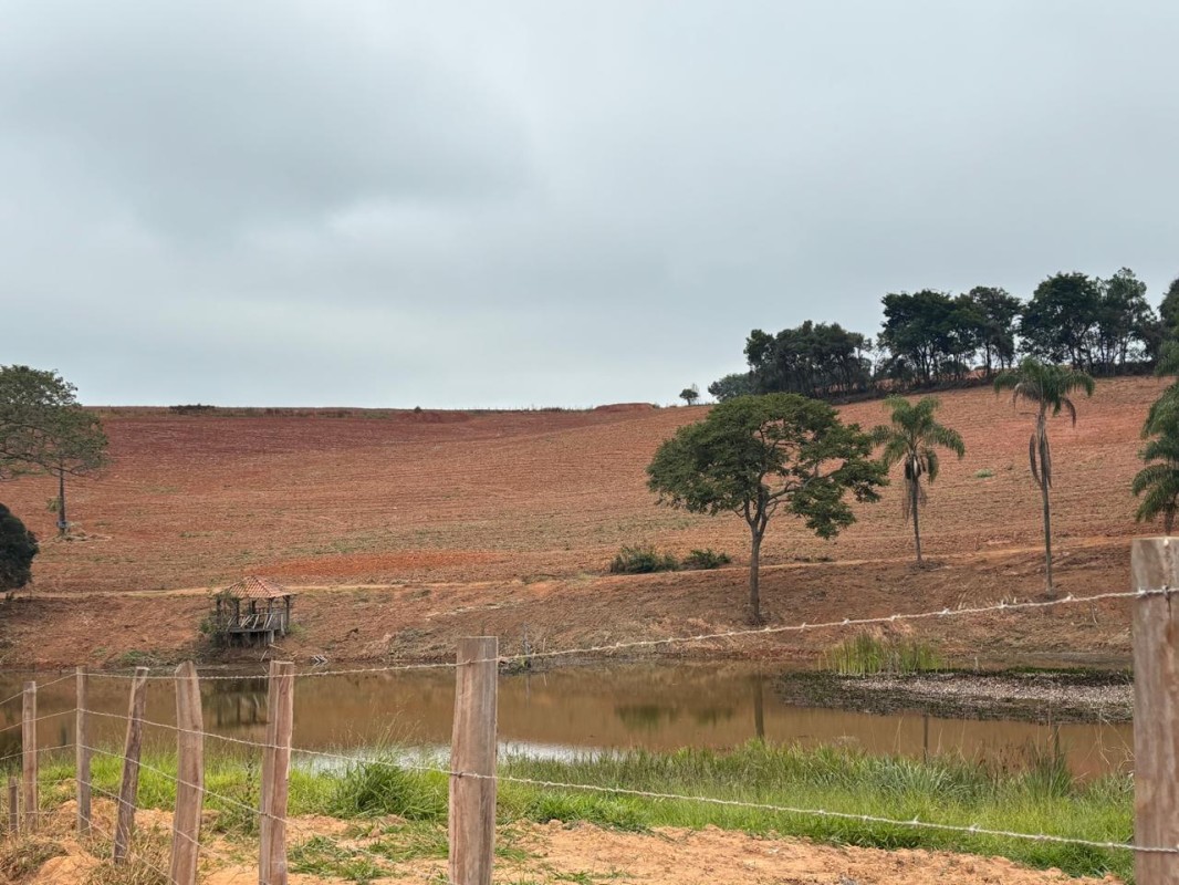 Fazenda, 113 hectares - Foto 25