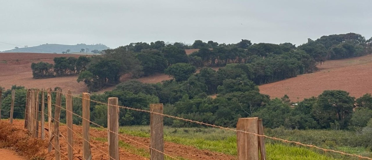 Fazenda, 113 hectares - Foto 22