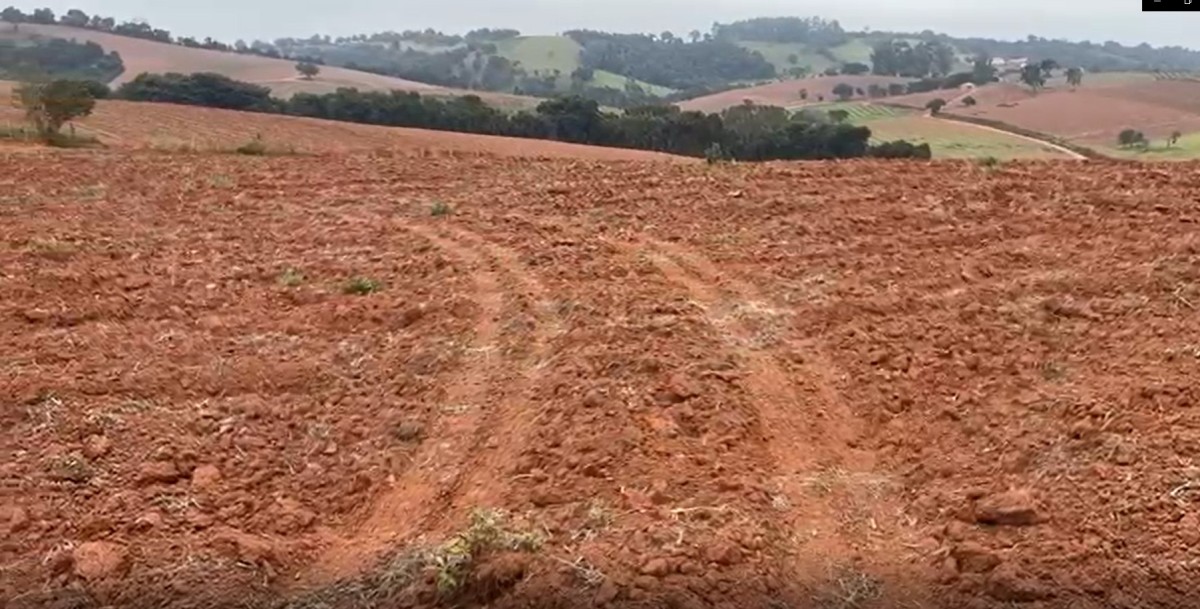 Fazenda, 113 hectares - Foto 10