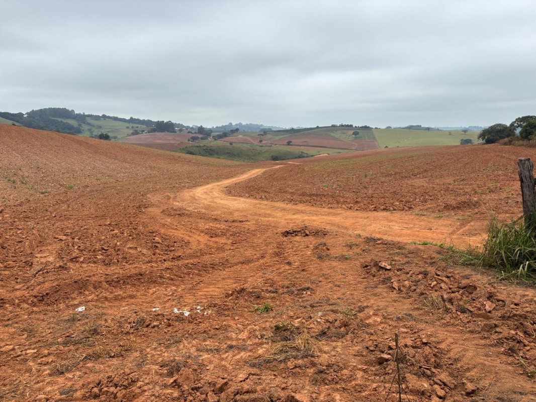 Fazenda, 113 hectares - Foto 21