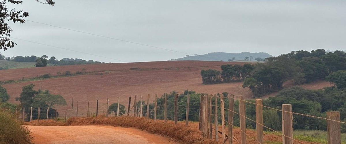 Fazenda, 113 hectares - Foto 17