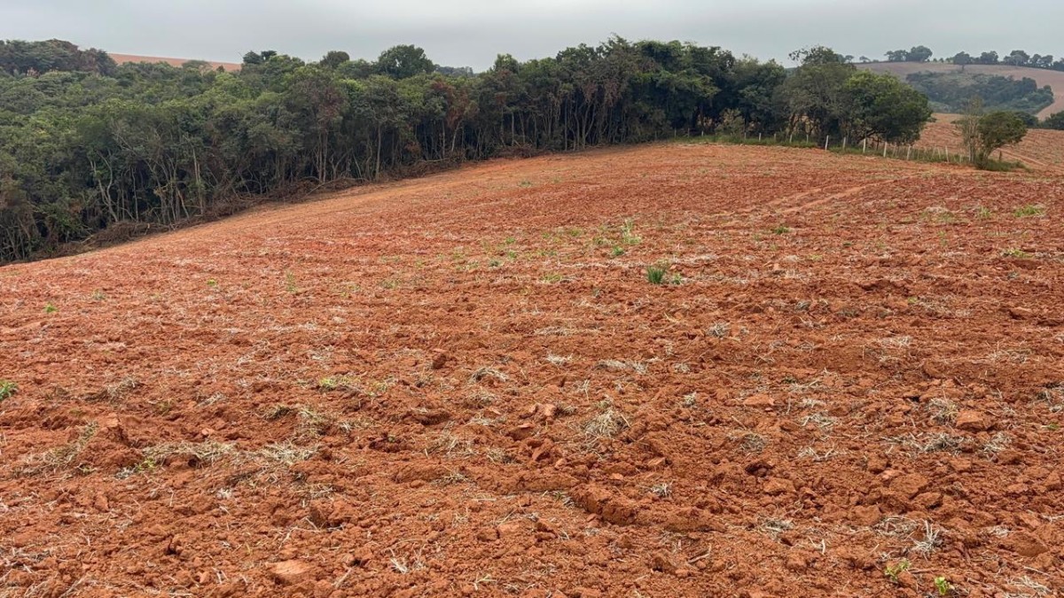 Fazenda, 113 hectares - Foto 20