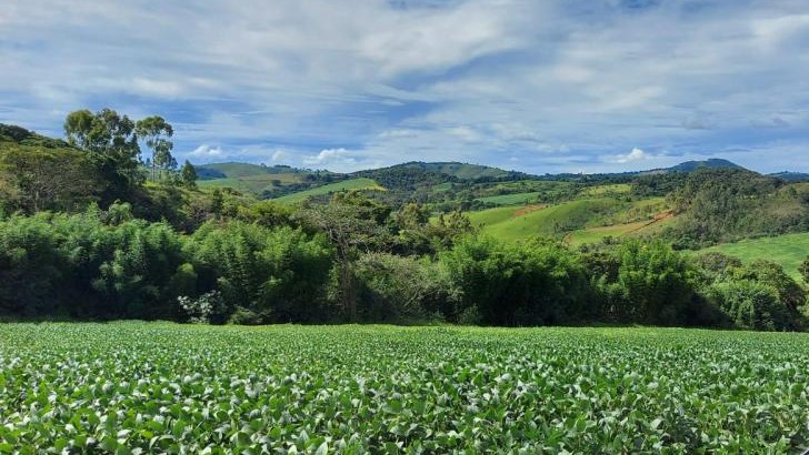 Chácara, 3 quartos, 315 hectares - Foto 8