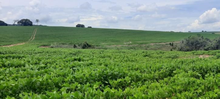 Chácara, 3 quartos, 315 hectares - Foto 6